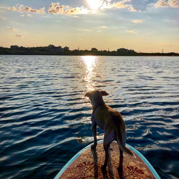 Meet your Posher, Morgan Starr - Picture 7 of 10